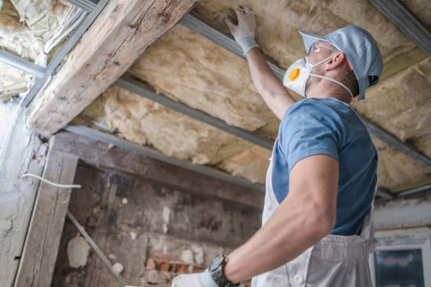 Best Insulation Removal  in North Bellport, NY