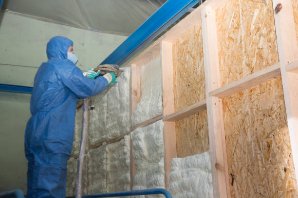 Best Local Insulation Services  in North Bellport, NY